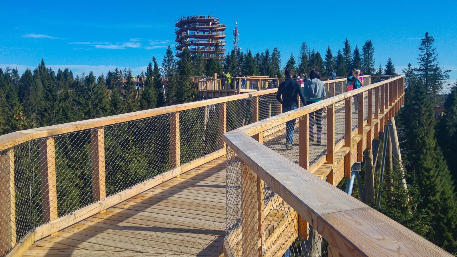 Wooden treetop walkway with mesh railings leading toward a tall lookout tower