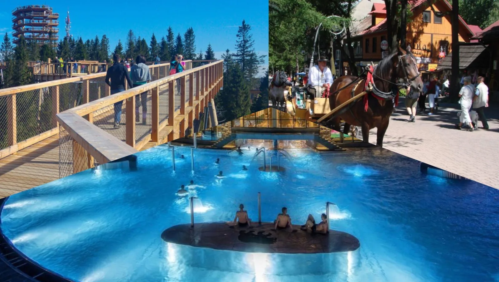 Slovakia Treetop Walk, Zakopane and Thermal Baths from Krakow