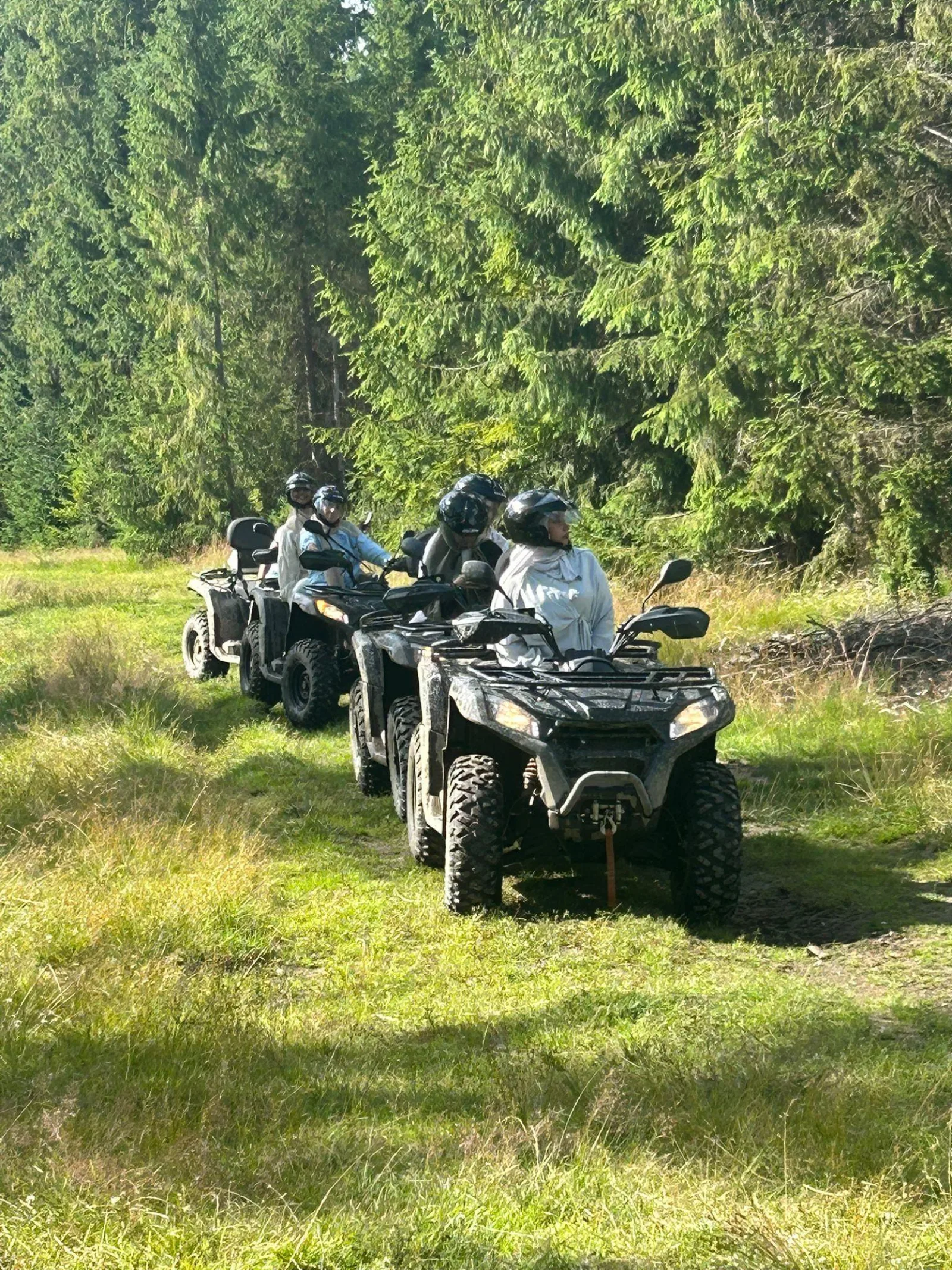 Line of helmeted riders on quads on a grassy forest track