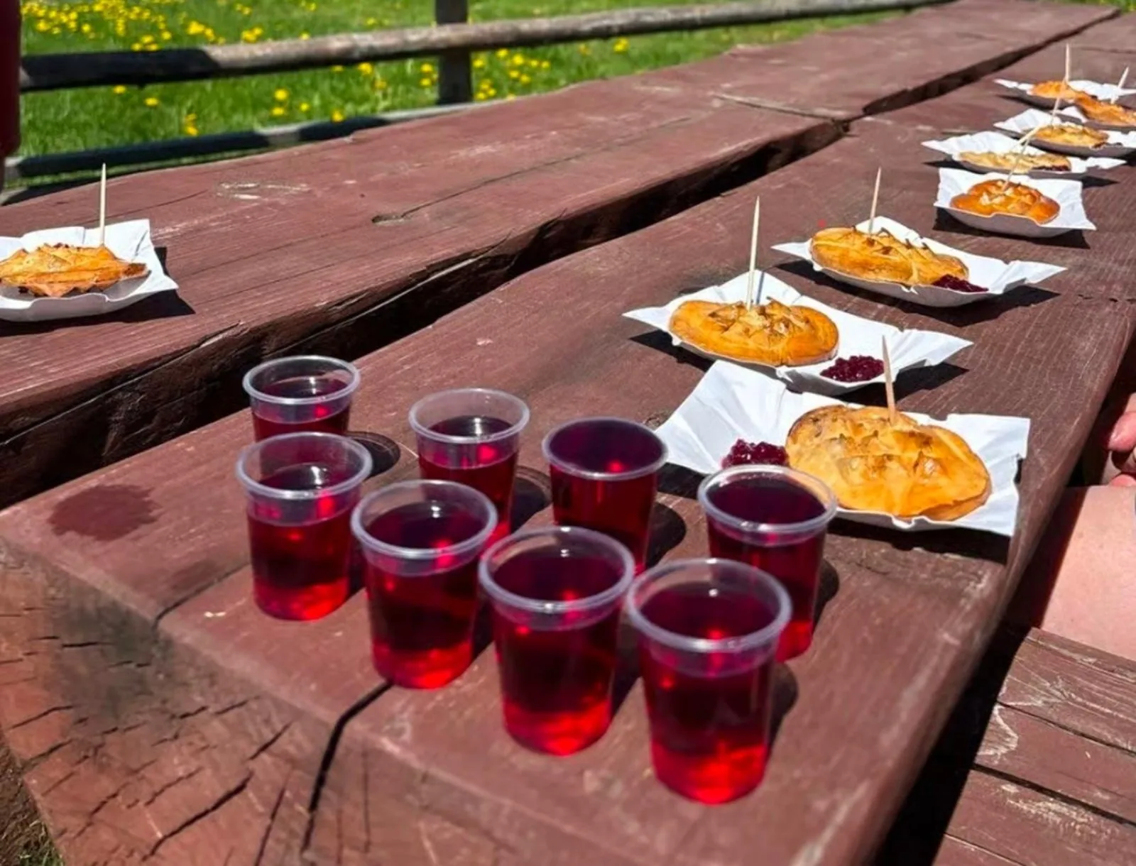 Grilled cheese with cranberry and cups of red liqueur on a wooden table