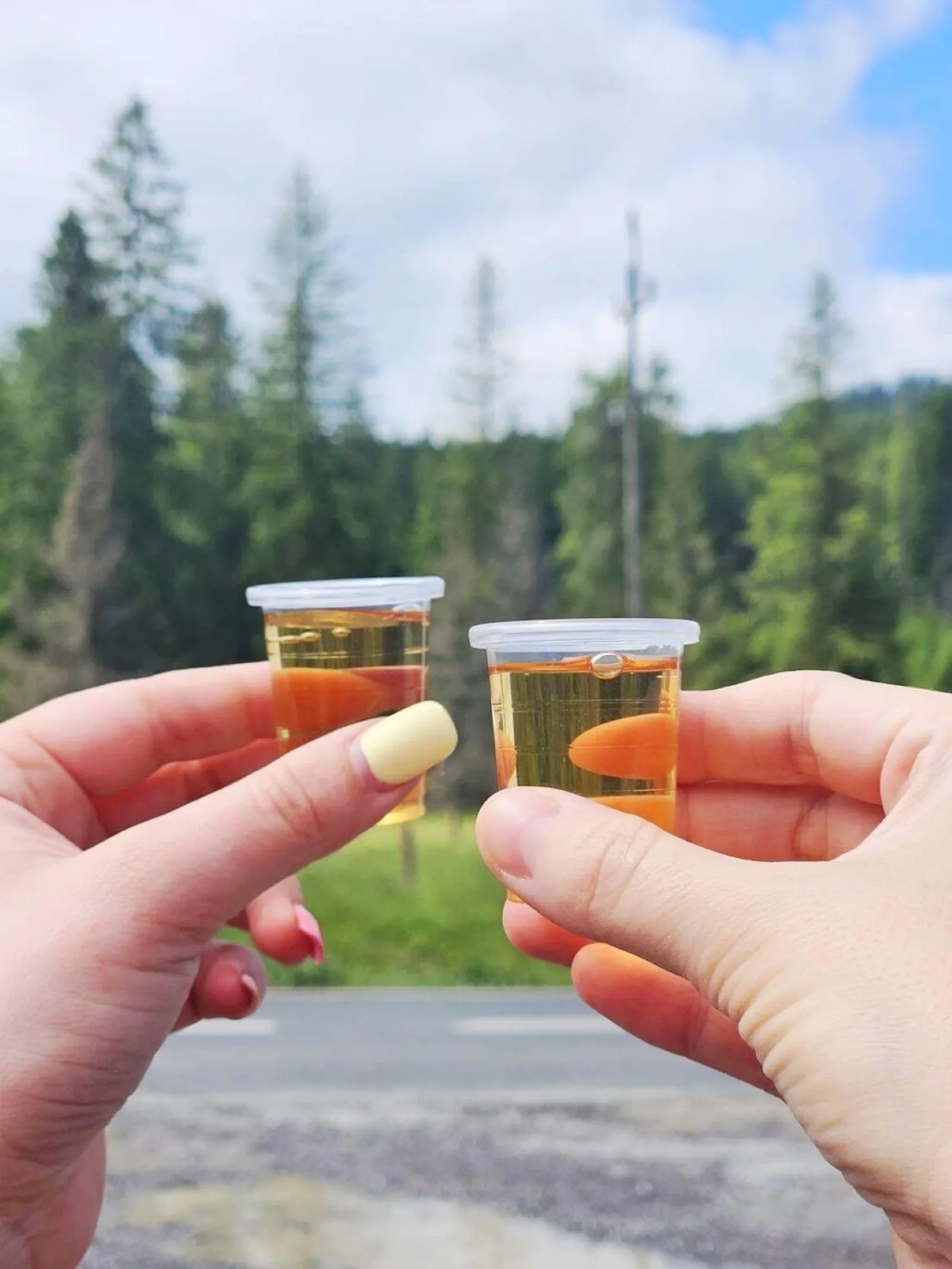 Two hands holding small cups of golden liqueur beside a forest road
