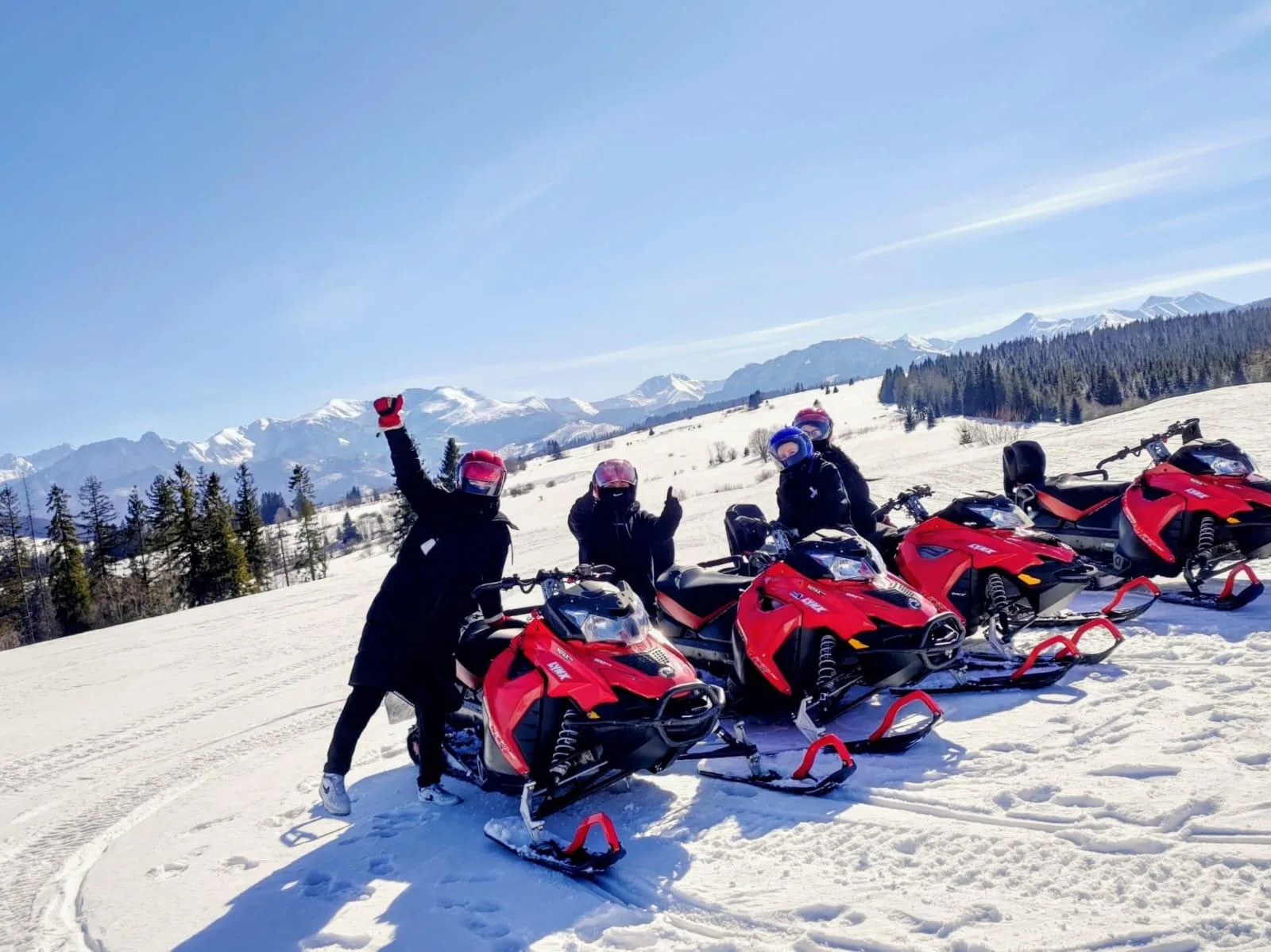 Snowmobile Adventure with Zakopane and Optional Thermal Pools