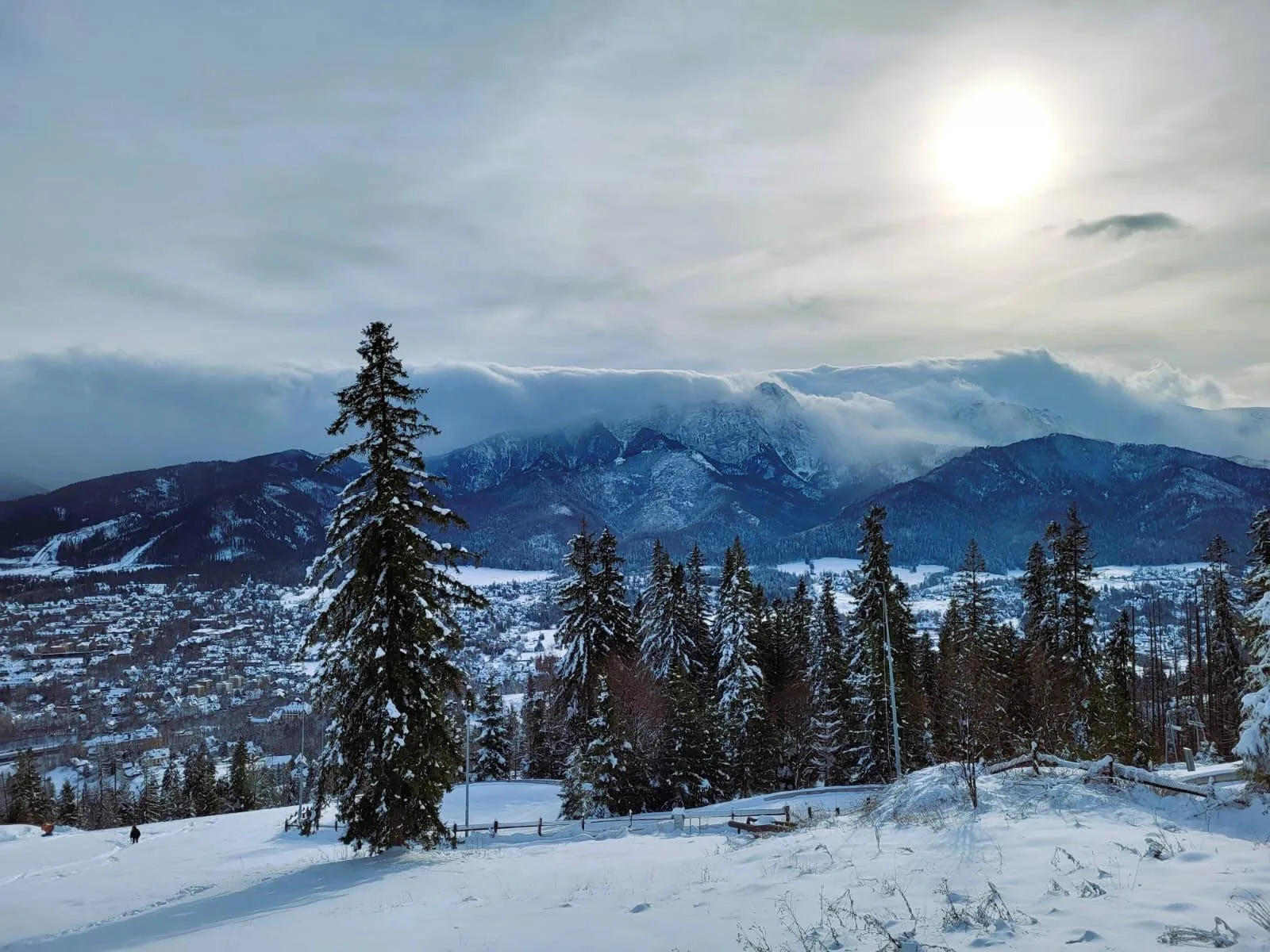 Snowy spruce trees on a hillside above a town and cloud-capped peaks