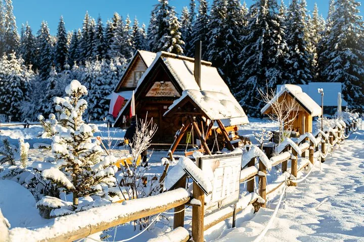 Snow-covered wooden shepherd's hut among spruce trees in winter sun