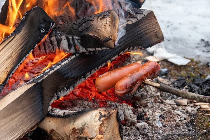 Sausages roasting on a stick over a wood bonfire beside snow