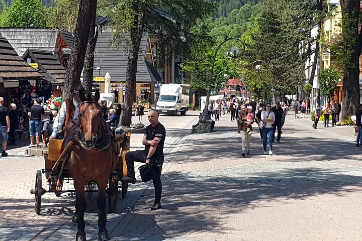 Horse and carriage waiting on a busy pedestrian street in Zakopane