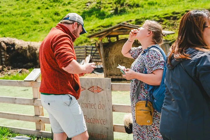 Visitors sampling drinks by a wooden fence at a sheep farm